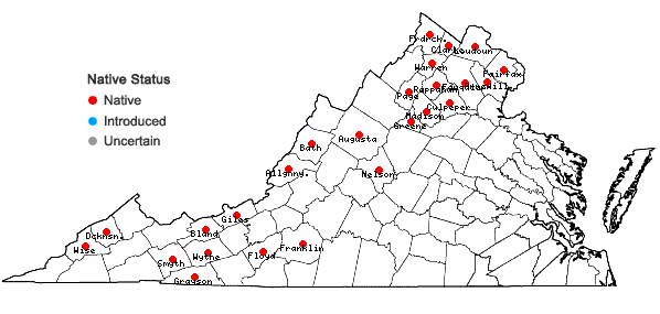 Locations ofMuhlenbergia mexicana (L.) Trin. in Virginia