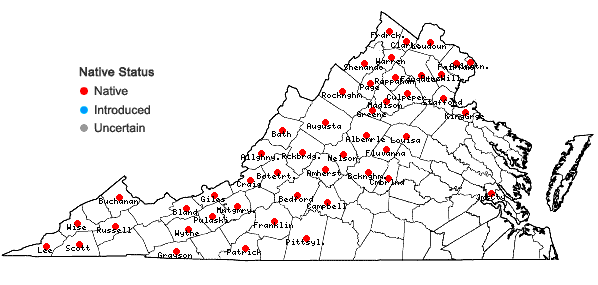 Locations ofMuhlenbergia sobolifera (Muhl. ex Willd.) Trin. in Virginia