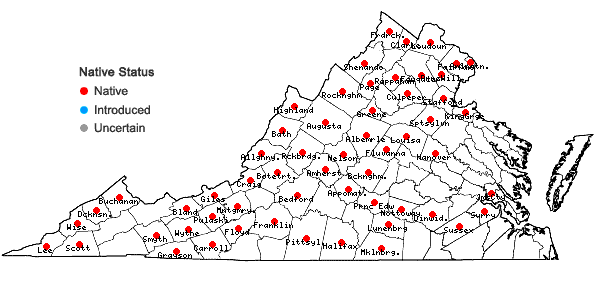 Locations ofMuhlenbergia sylvatica (Torr.) Torr. ex Gray in Virginia