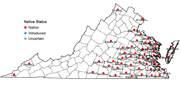 Locations ofMuscadinia rotundifolia (Michx.) Small var. rotundifolia in Virginia