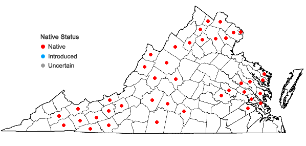 Locations ofMyosotis laxa Lehm. ssp. laxa in Virginia