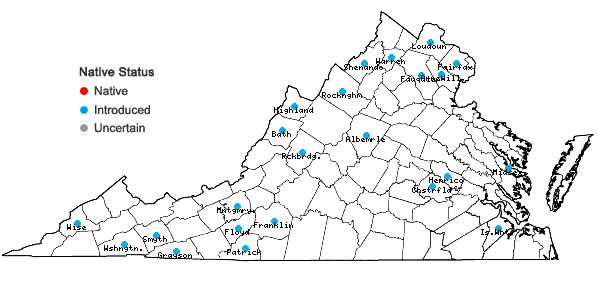 Locations ofMyosotis scorpioides L. in Virginia