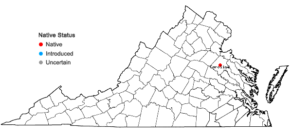 Locations ofMyriophyllum humile (Raf.) Morong in Virginia