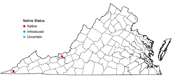 Locations ofMyriopteris alabamensis (Buckley) Grusz & Windham in Virginia