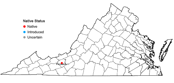 Locations ofMyriopteris gracilis Fée in Virginia