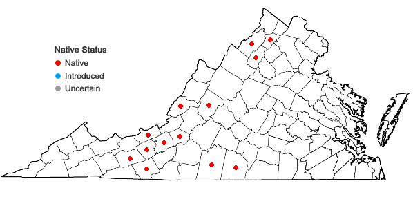Locations ofMyriopteris rufa Fée in Virginia