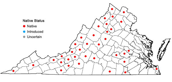 Locations ofNabalus albus (L.) Hooker in Virginia