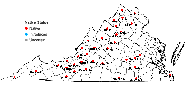 Locations ofNabalus albus (L.) Hooker in Virginia
