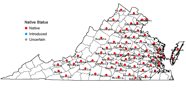 Locations ofNabalus serpentarius (Pursh) Hooker in Virginia