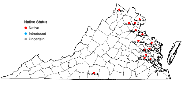 Locations ofNajas gracillima (A. Braun ex Engelm.) Magnus in Virginia