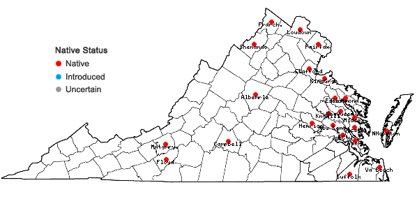 Locations ofNajas guadalupensis (Spreng.) Magnus var. guadalupensis in Virginia
