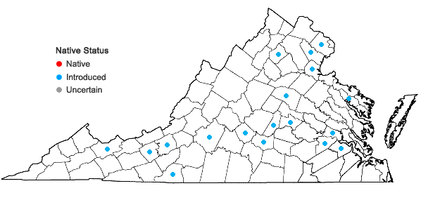 Locations ofNajas minor All. in Virginia
