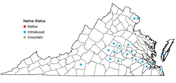 Locations ofNandina domestica Thunberg in Virginia