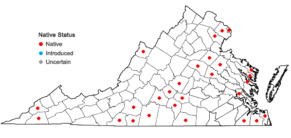 Locations ofNanopanax trifolius (L.) A. Haines in Virginia