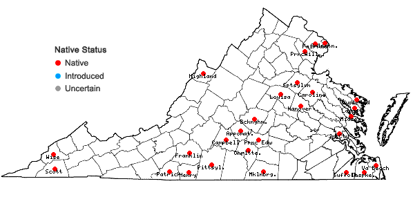 Locations ofNanopanax trifolius (L.) A. Haines in Virginia