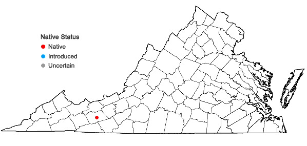 Locations ofNapaea dioica L. in Virginia