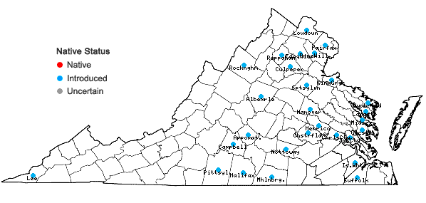 Locations ofNarcissus poeticus L. in Virginia