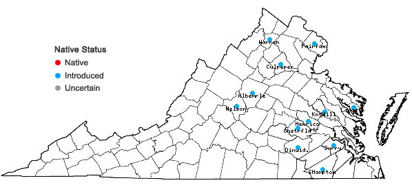 Locations ofNarcissus ×incomparabilis P. Mill. (pro sp.) in Virginia