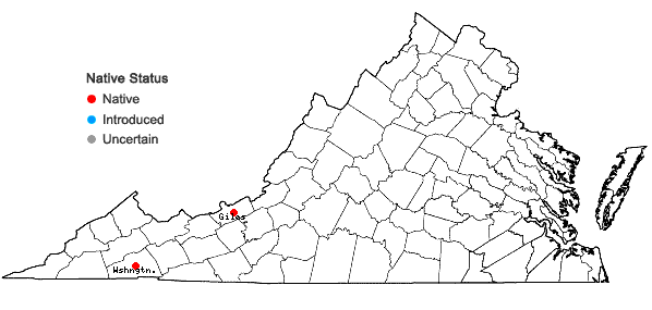 Locations ofNeckera complanata (Hedw.) Huebener in Virginia