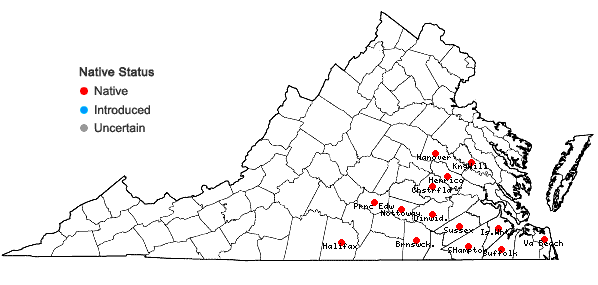 Locations ofNekemias arborea (L.) J. Wen & Boggan  in Virginia