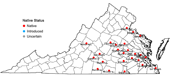 Locations ofNemophila aphylla (L.) Brummitt in Virginia