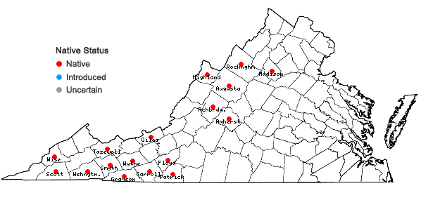 Locations ofNeottia smallii (Wieg.) Szlachetko in Virginia