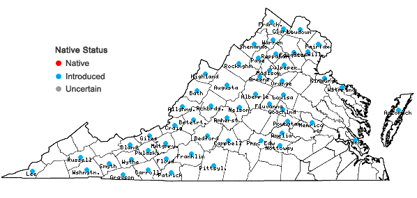 Locations ofNepeta cataria L. in Virginia