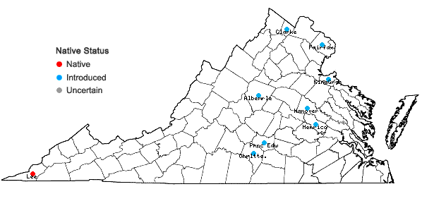 Locations ofNephroia carolina (L.) Lian Lian & Wei Wang in Virginia