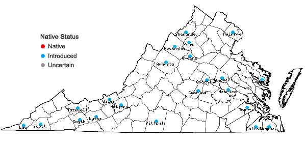 Locations ofNicandra physalodes (L.) Gaertner in Virginia