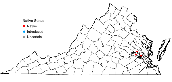 Locations ofNuphar sagittifolia (Walter) Pursh in Virginia