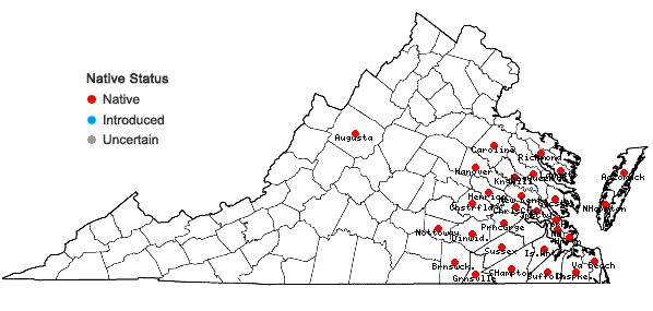 Locations ofNyssa biflora Walt. in Virginia