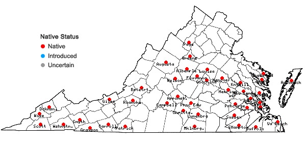 Locations ofOdontoschisma denudatum (Nees) Dumort. in Virginia