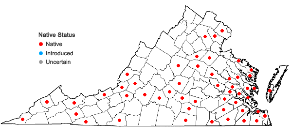 Locations ofOdontoschisma sphagni (Dicks.) Dumort. in Virginia