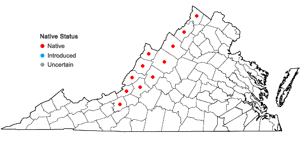 Locations ofOenothera argillicola Mackenzie in Virginia