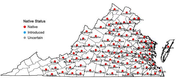 Locations ofOenothera fruticosa L. in Virginia