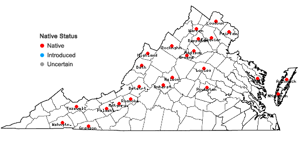 Locations ofOenothera parviflora L. in Virginia