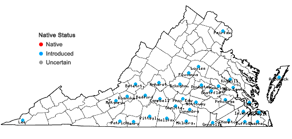 Locations ofOenothera speciosa Nuttall in Virginia