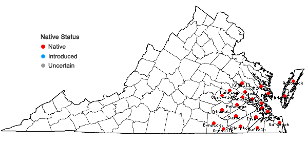 Locations ofOldenlandia uniflora L. in Virginia