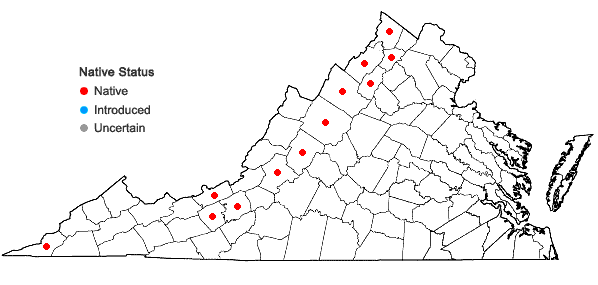 Locations ofOphioglossum engelmannii Prantl in Virginia