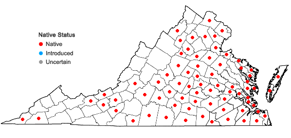Locations ofOphioglossum pycnostichum (Fernald) A. & D. Love in Virginia
