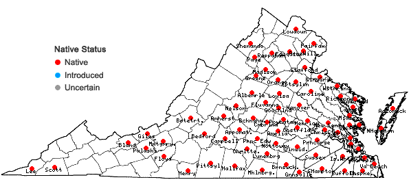 Locations ofOphioglossum pycnostichum (Fernald) A. & D. Love in Virginia