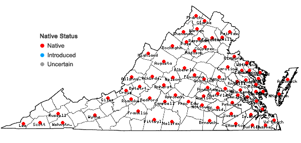 Locations ofOpuntia humifusa complex in Virginia