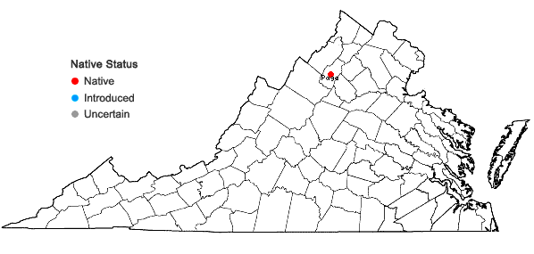 Locations ofOreojuncus trifidus (L.) Záveská Drábková & Kirschner in Virginia