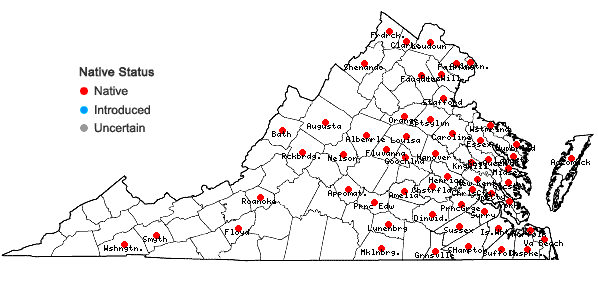 Locations ofOrontium aquaticum L. in Virginia