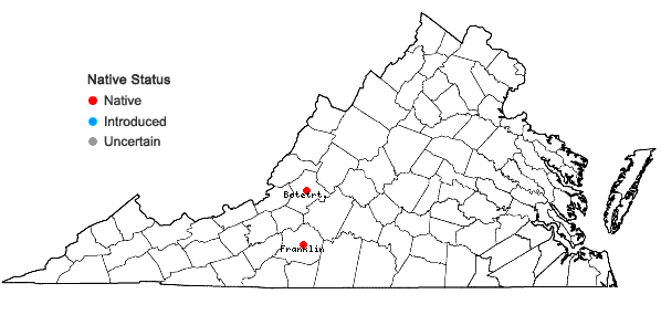 Locations ofOrthotrichum keeverae H.A. Crum & L.E. Anderson in Virginia