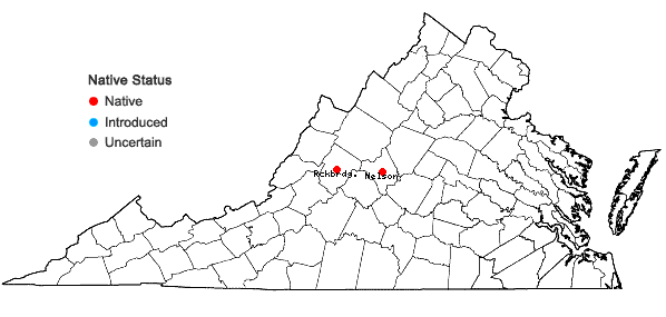 Locations ofOrthotrichum lescurii Austin in Virginia