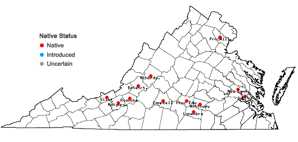 Locations ofOrthotrichum pumilum Swartz in Virginia