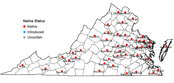 Locations ofOrthotrichum stellatum Bridel in Virginia