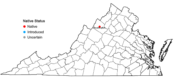 Locations ofOryzopsis asperifolia Michx. in Virginia
