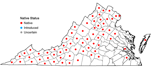 Locations ofOsmunda claytoniana L. var. claytoniana in Virginia